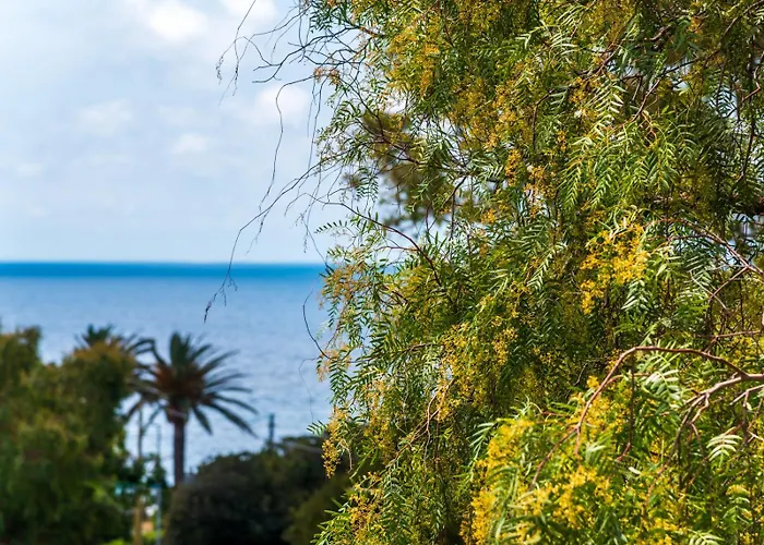 Augusto Apartahotel 3*