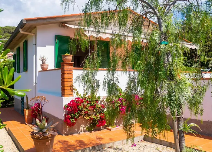 Augusto Capoliveri (Isola d'Elba)