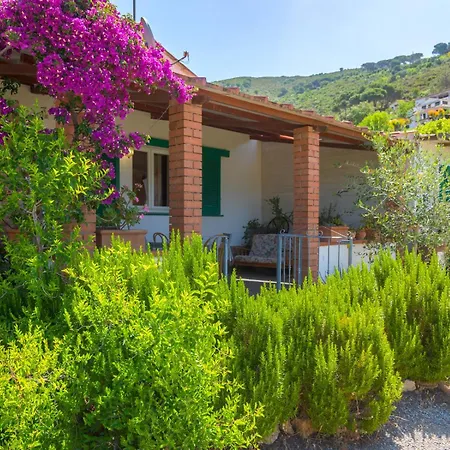 Augusto Каполивери