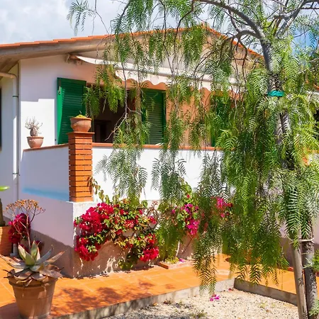 Augusto كابوليفيري